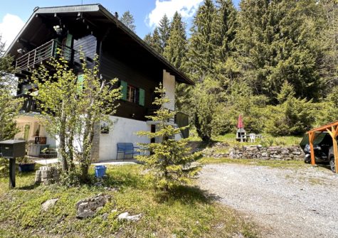 Magnifique chalet de 2 appartements dans un beau cadre de verdure à Morgins