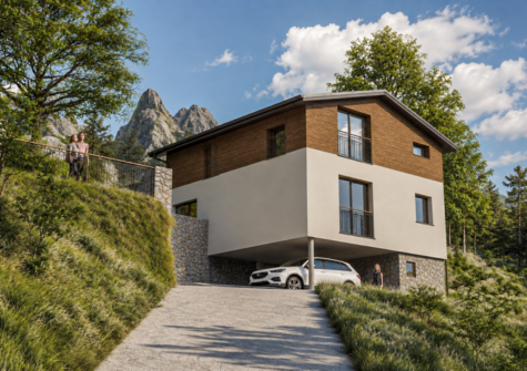 Villa individuelle neuve à Collombey-Muraz (Les Neyres)