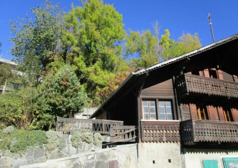 Chalet de 3 appartements idéal pour du rendement !