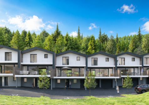 Magnifique villas jumelées à Vex – LOT5