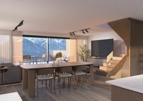Magnifique villas jumelées à Vex – LOT6