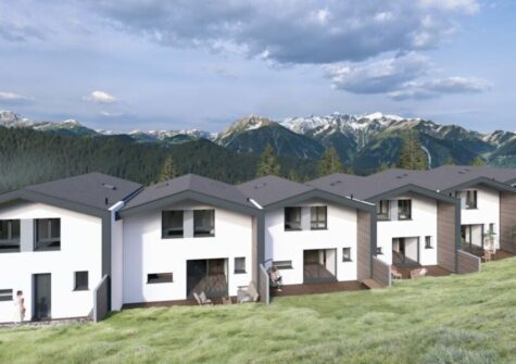 Magnifique villas jumelées à Vex – LOT4