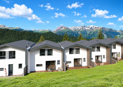 Magnifique villas jumelées à Vex – LOT3