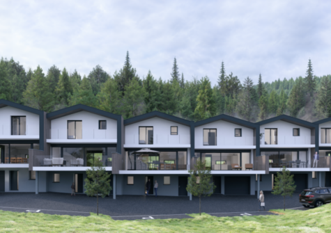 Magnifique villas jumelées à Vex – LOT2