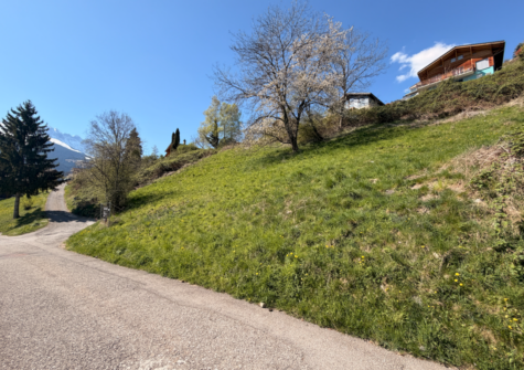 Belle parcelle à vendre à Collombey ( Les Neyres )
